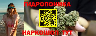 крисы Тара