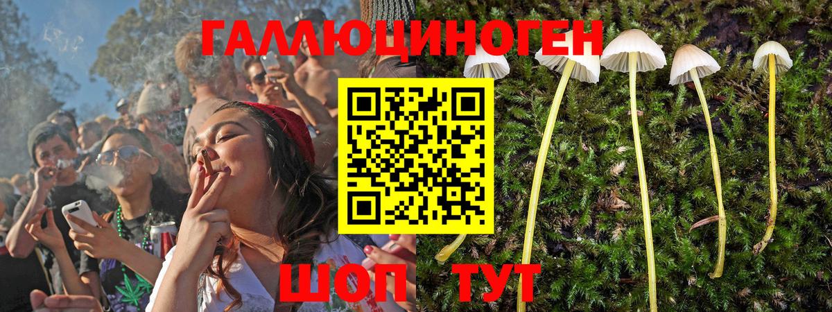 Псилоцибиновые грибы Magic Shrooms Новоалександровск