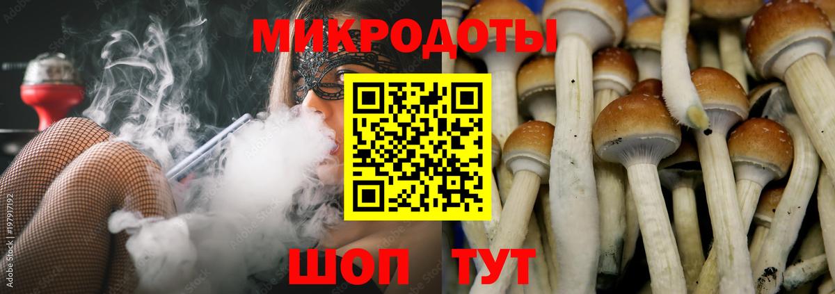 Псилоцибиновые грибы MAGIC MUSHROOMS  Вход с VPN  Новоалександровск  Галлюциногенные грибы GOLDEN TEACHER 